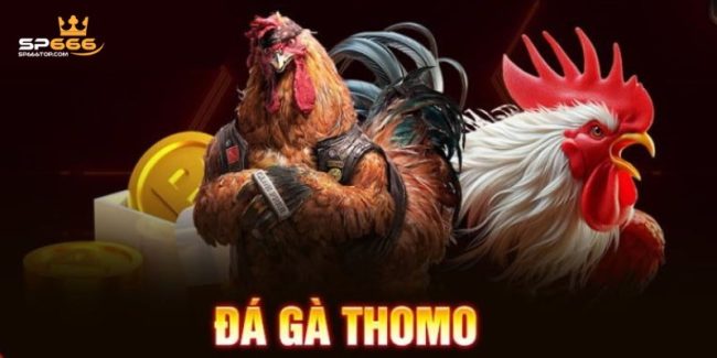 Đá Gà Thomo