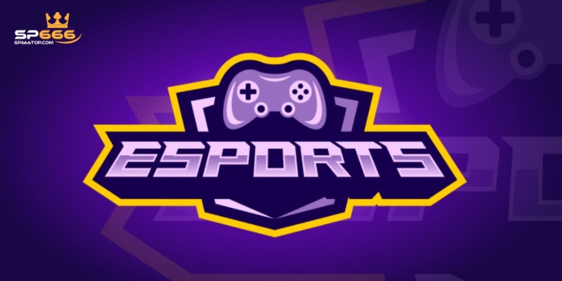 Nhà cái không ngừng cố gắng trong việc nghiên cứu thị trường