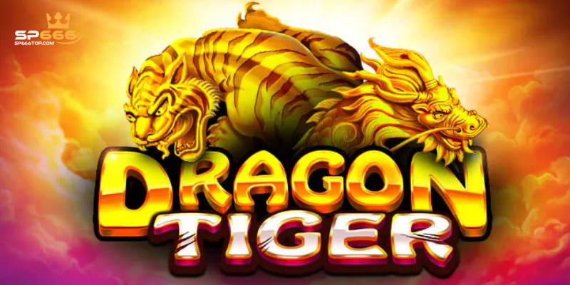 Rồng Hổ SP666 - Tìm Hiểu Luật Chơi Để Chiến Thắng Mọi Ván Game 2 Những thuật ngữ khách hàng cần nắm rõ trước khi tham gia Dragon Tiger