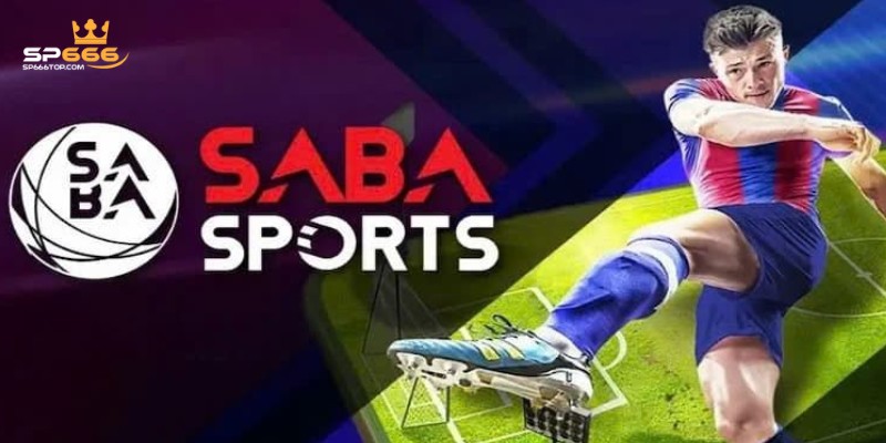 Luật cược thể thao trên saba sports