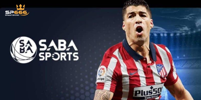 Hình thức cược phổ biến trên sảnh saba sports 