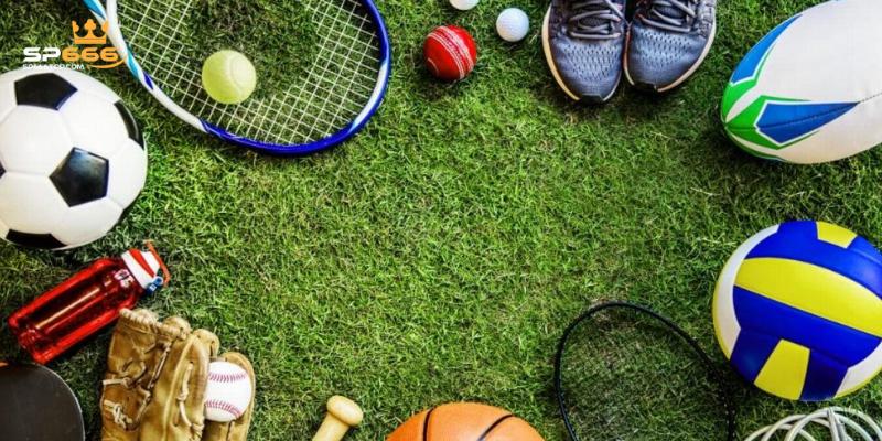 Giới thiệu sơ lược về sảnh thể thao SP666